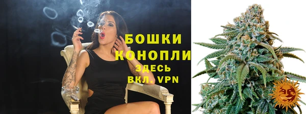 эйфоретик Каменногорск