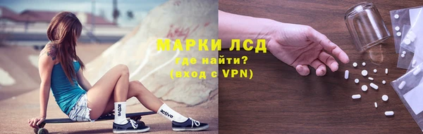 PSILOCYBIN Каменка