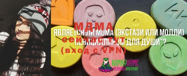 PSILOCYBIN Каменка
