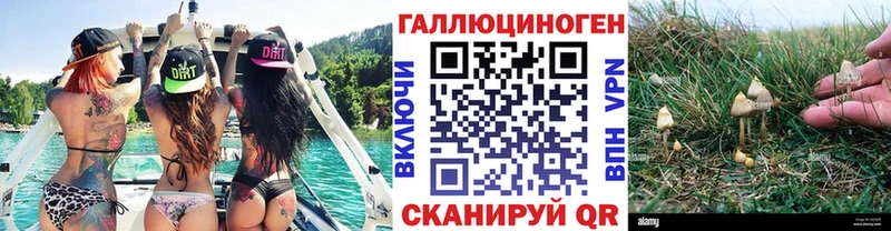 Купить где  Белый  Галлюциногенные грибы мицелий 